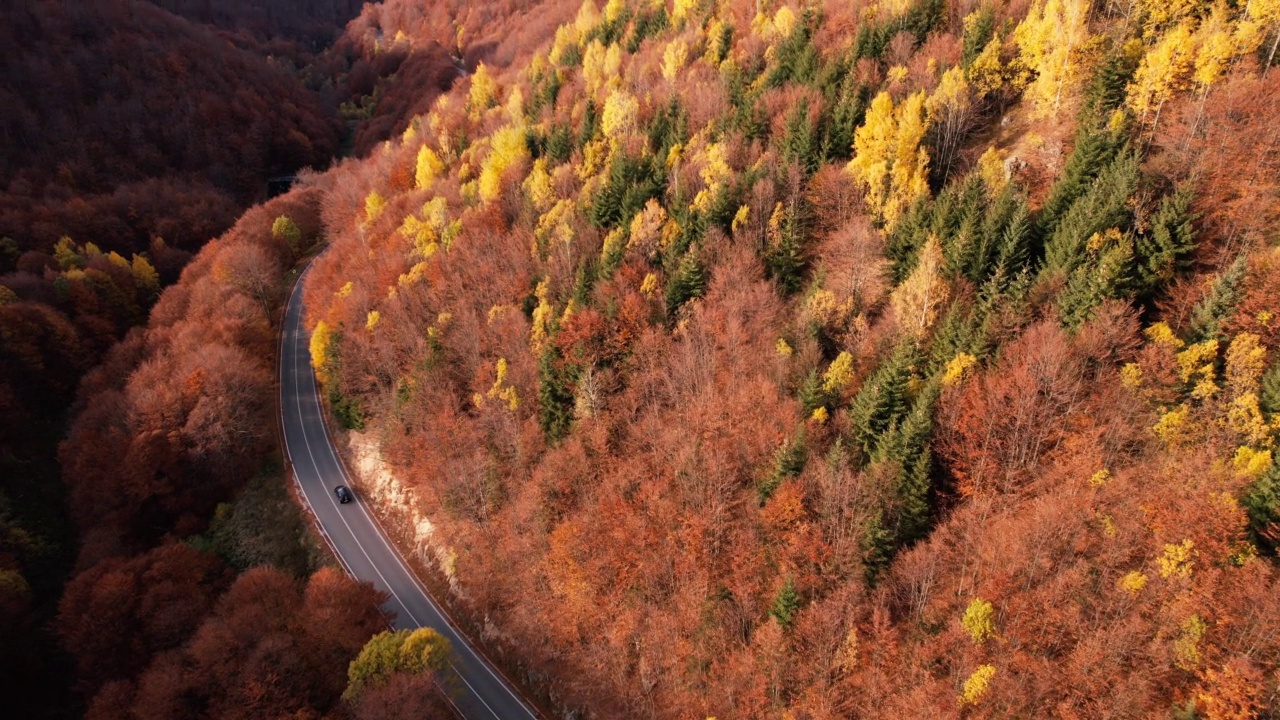 穿山而过的道路涂满了秋天的色彩，汽车行驶视频素材