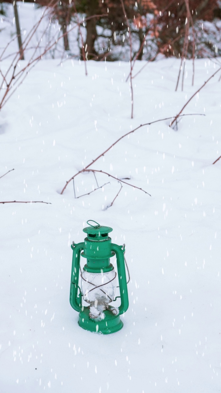 绿色的灯笼站在户外的雪地里视频下载