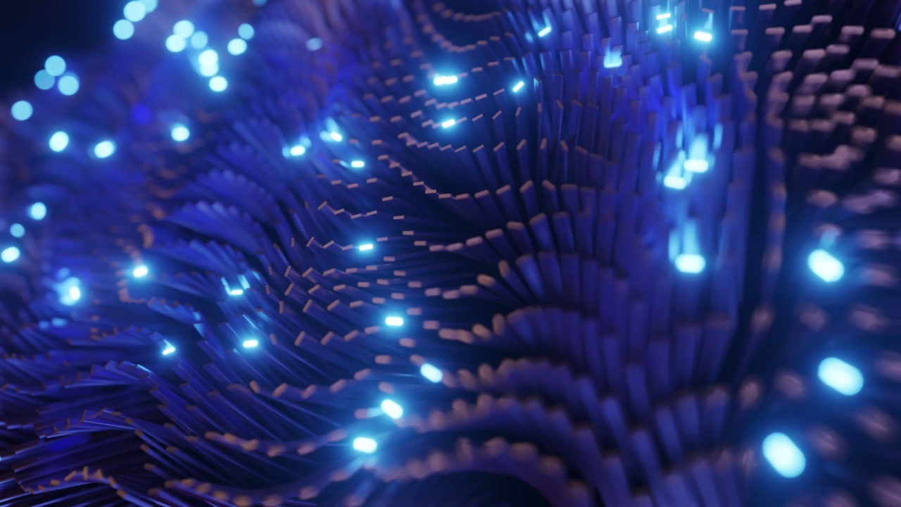 数字海葵在网络空间中闪闪发光视频素材