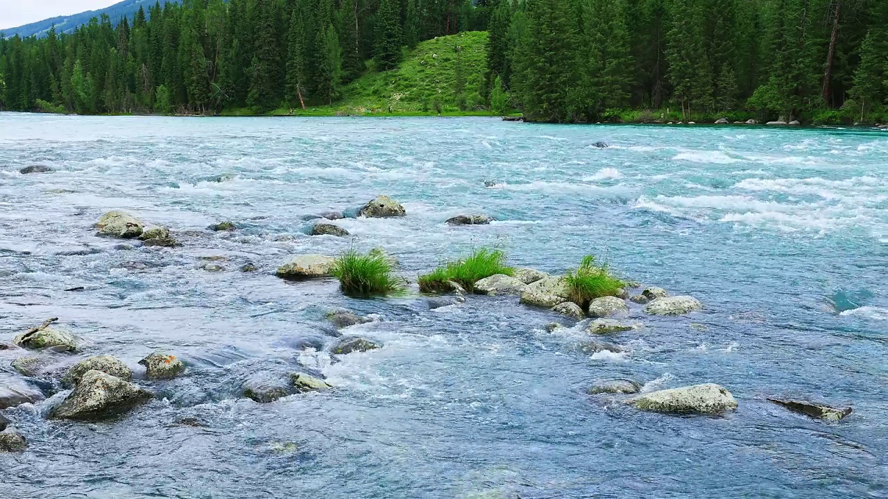 新疆流动的河流和森林视频下载
