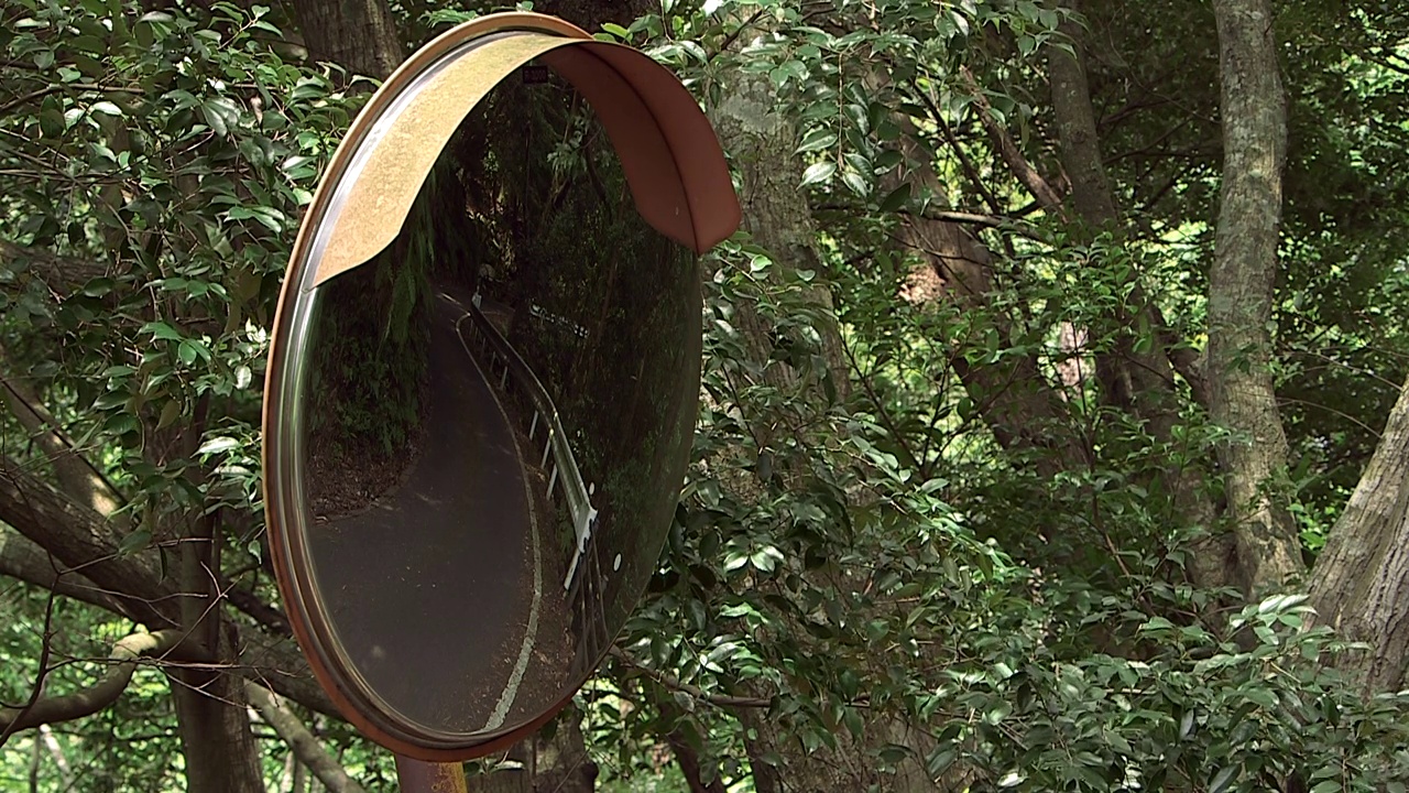 日本屋久岛/鹿儿岛凸面镜上的道路反射视频素材
