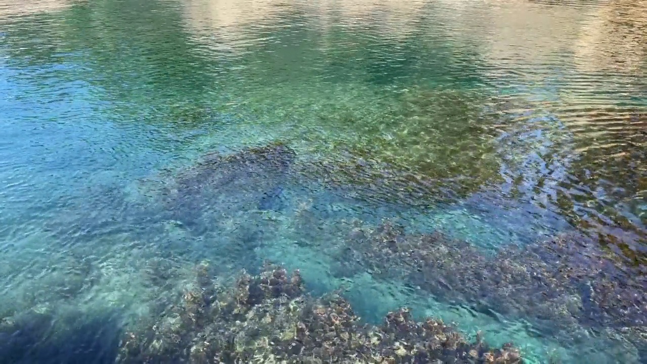 蓝绿色的海水闪闪发光的透明水面，在天堂泻湖的海床上有密集的藻类。视频素材