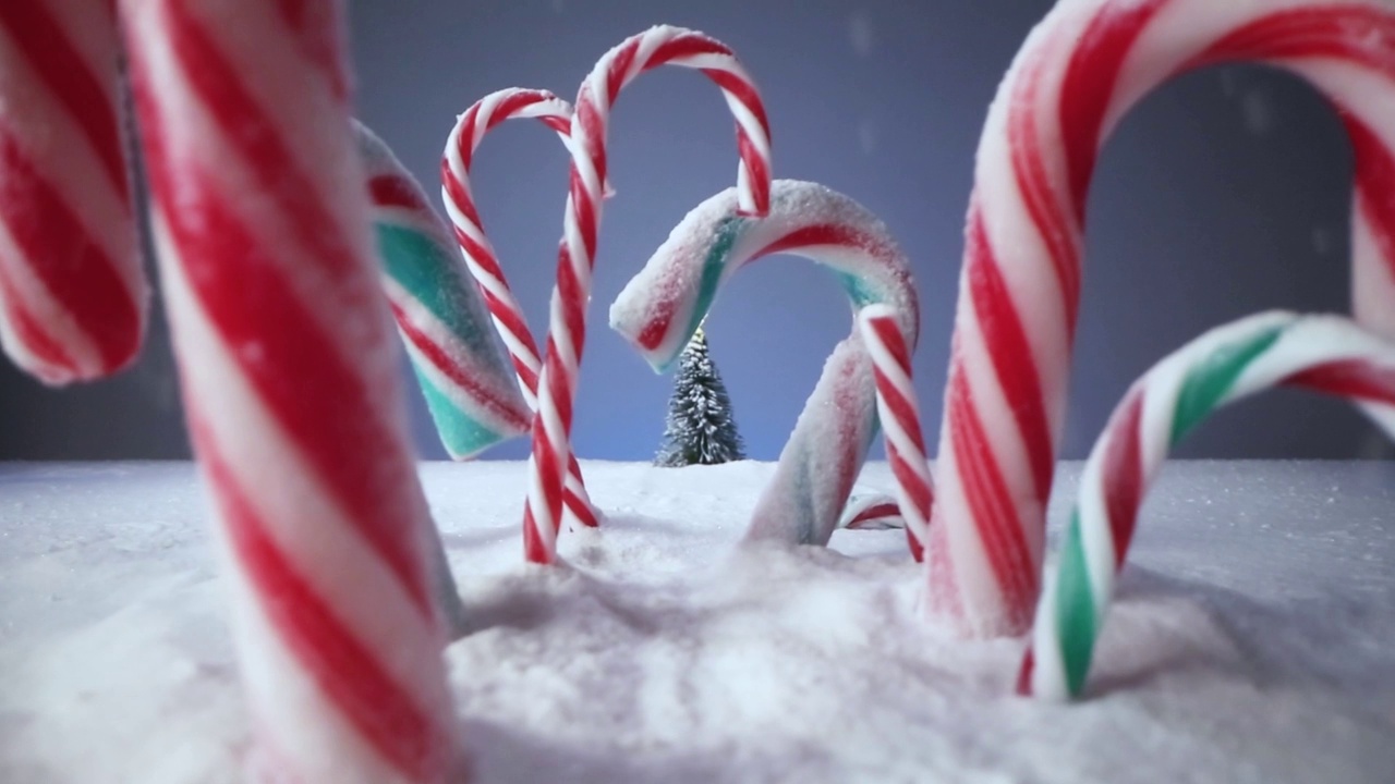 雪花背景上的糖果和圣诞树视频下载