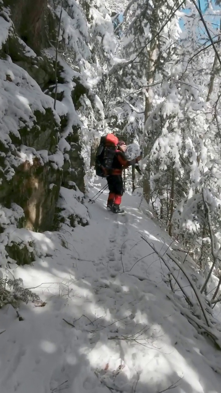 一个背着双肩包的男人走在山里冬季森林里的一条小路上。视频素材