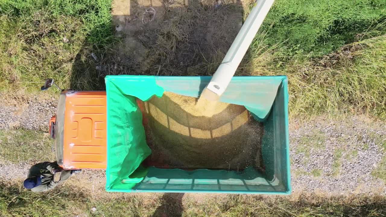 收割机收集水稻果实视频素材