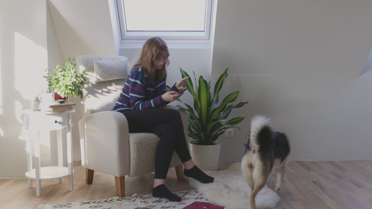 年轻女子和小狗在家里共度时光视频下载