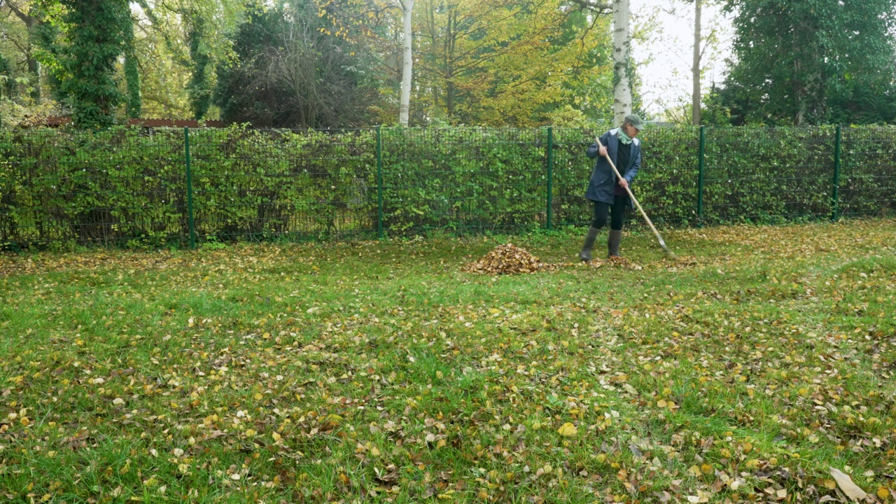 一位妇女正在她的秋天的花园里干活视频素材