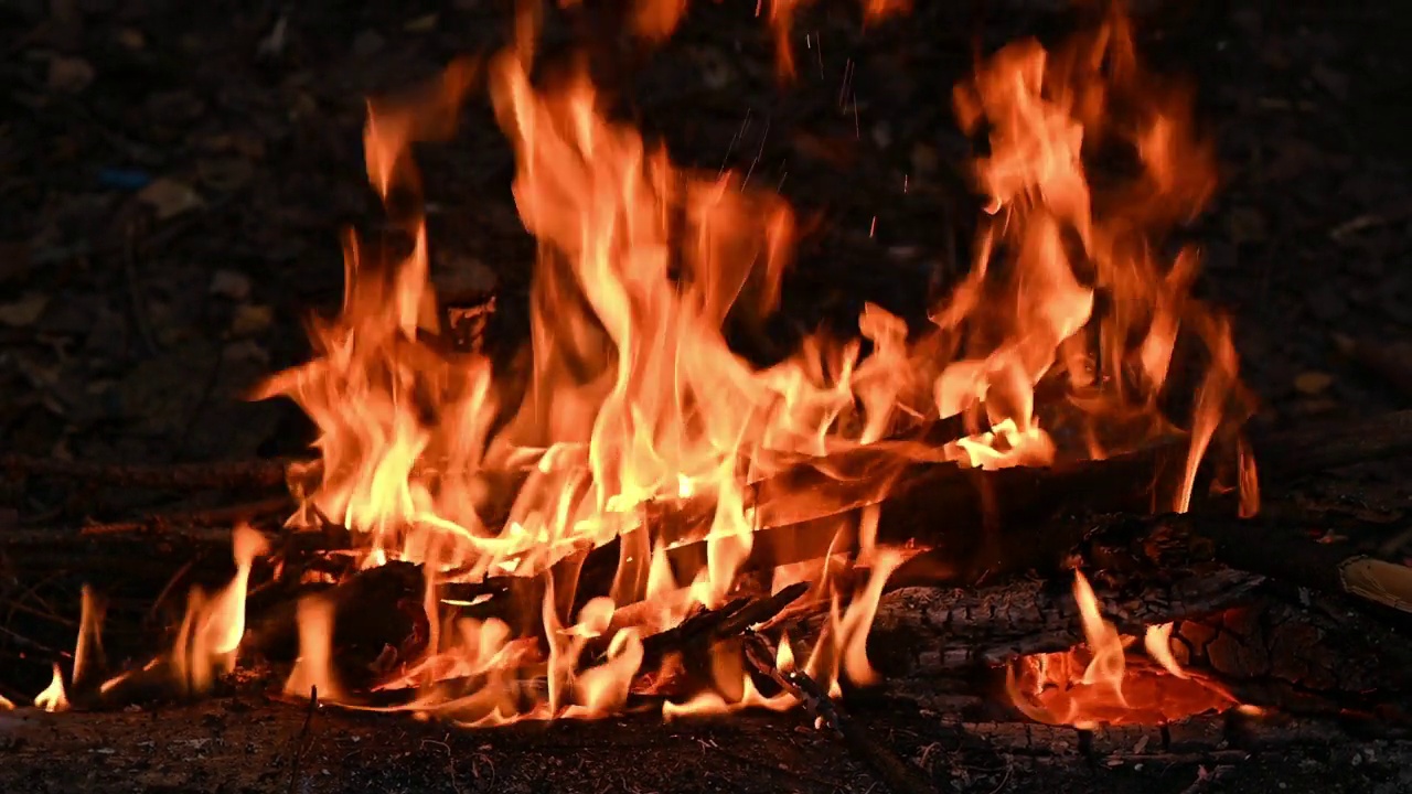 在森林里用烧着的柴火生火视频素材