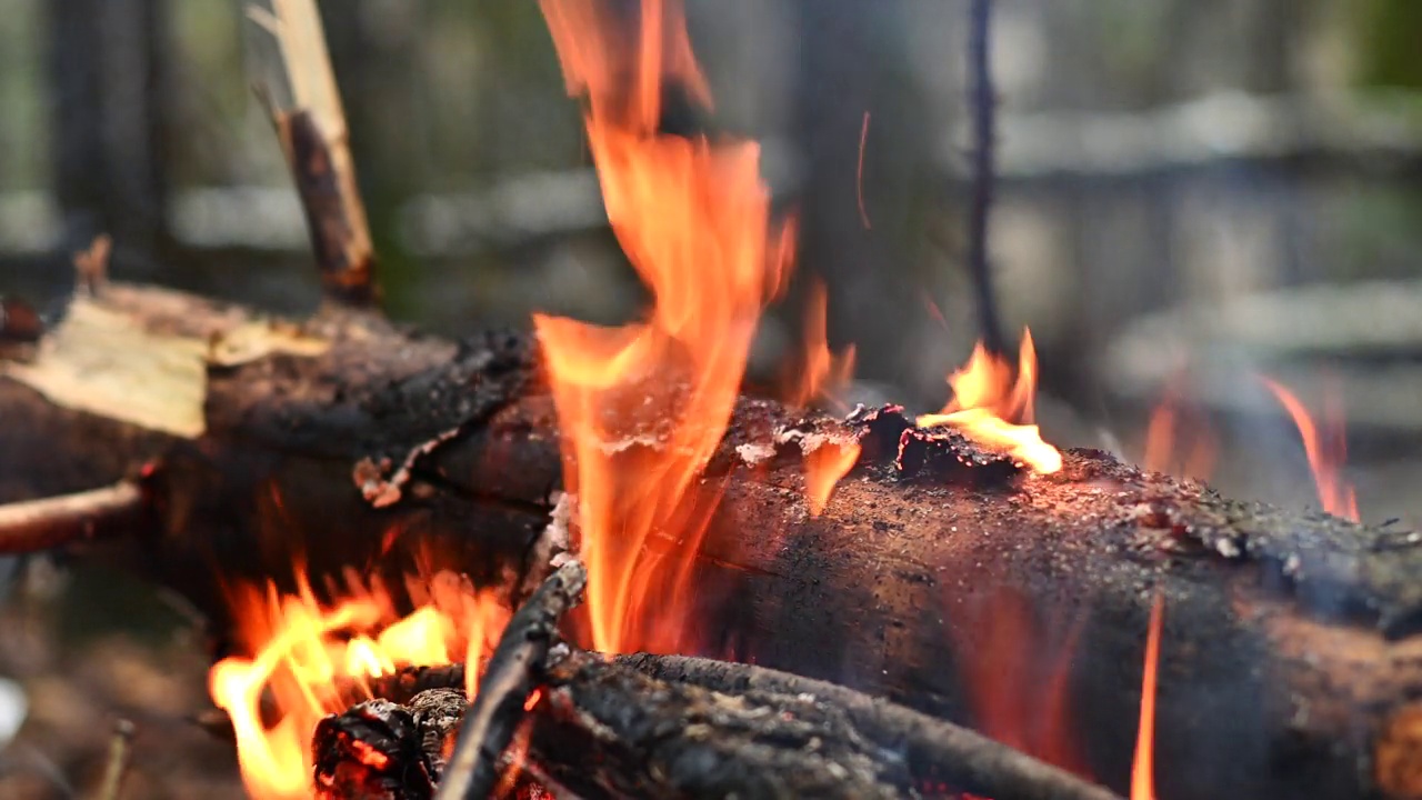 燃烧的篝火和明亮的火花从燃烧的煤烬飞近视频素材