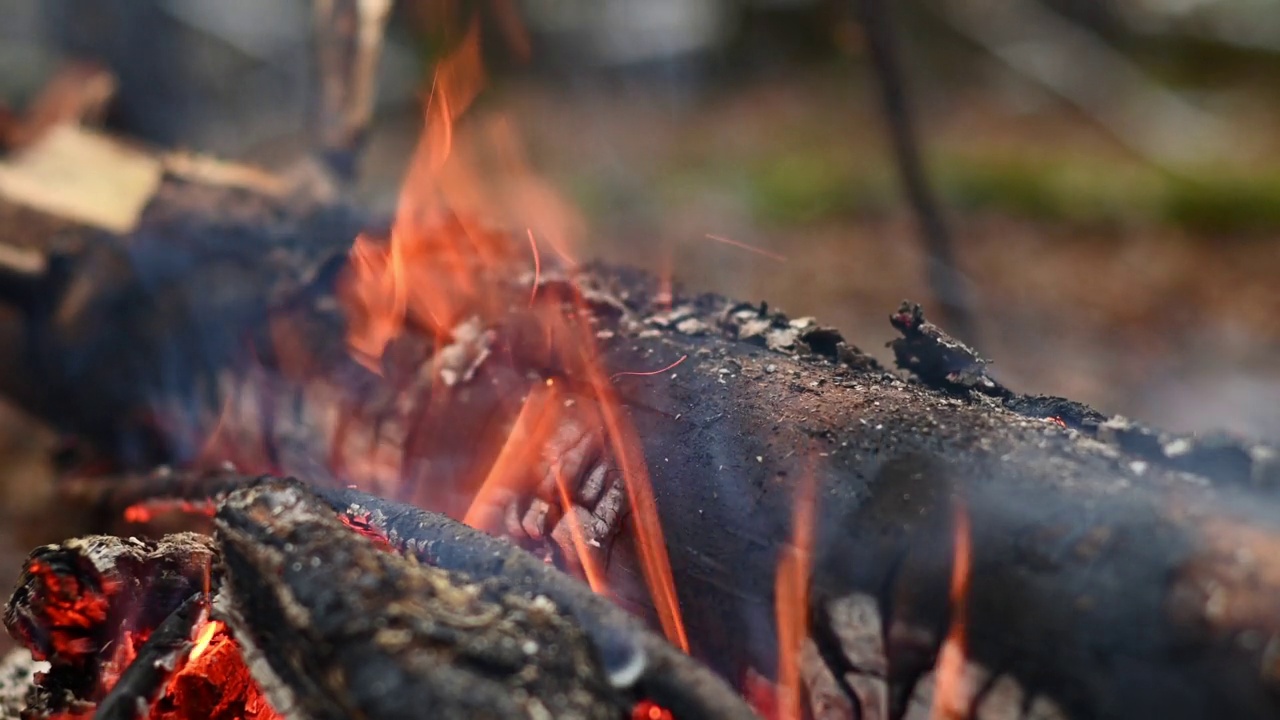 燃烧的篝火和明亮的火花从燃烧的煤烬飞近视频素材
