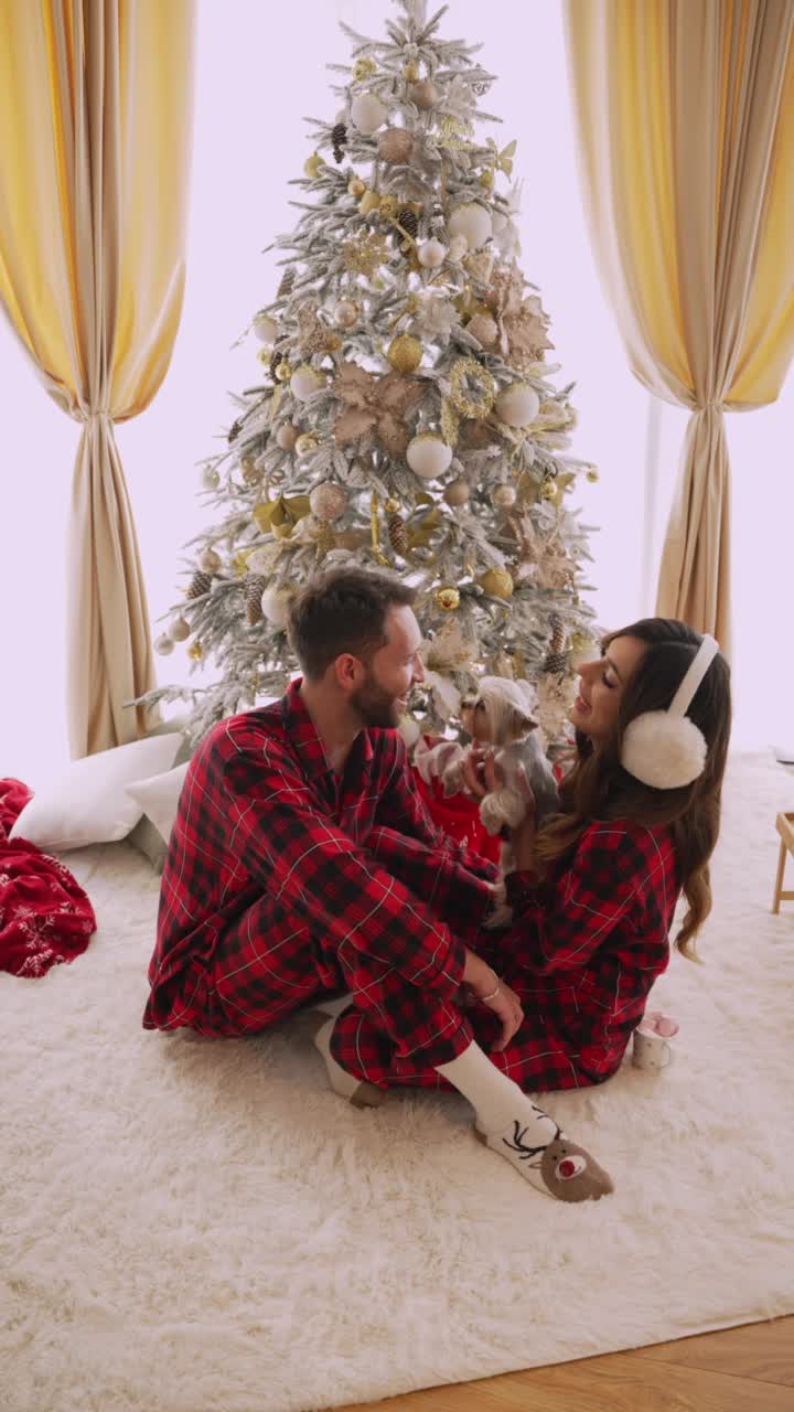 一对幸福的夫妇带着一只狗坐在圣诞树旁视频素材