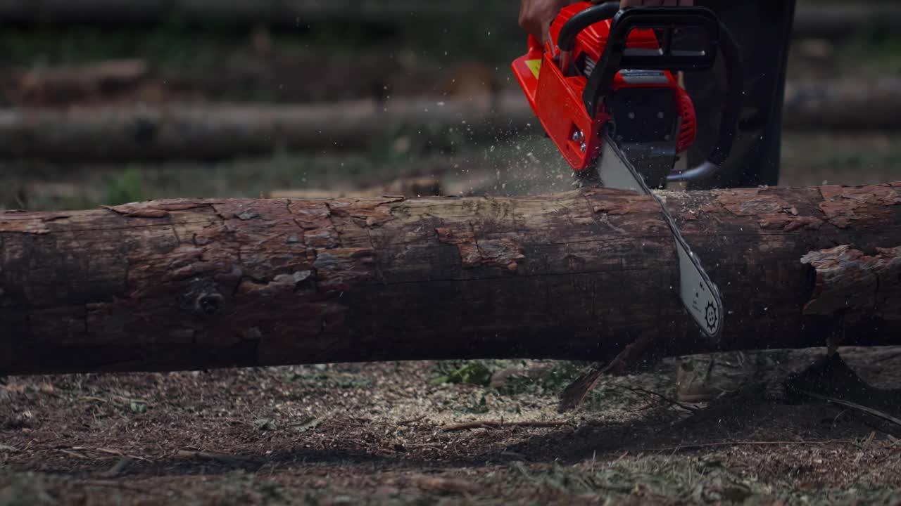 用链锯锯木头的人有很多飞来的碎片和条子。伐木工用电锯锯树。视频素材