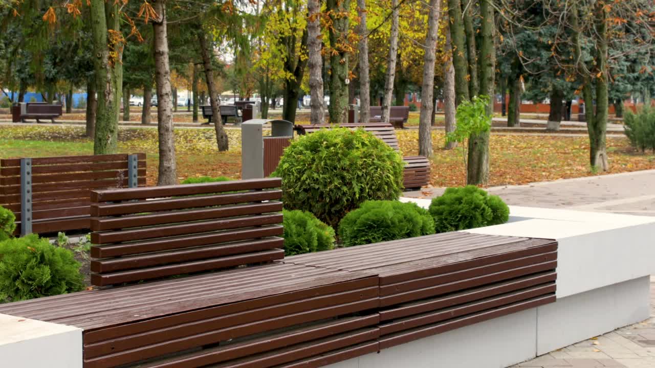 空旷的秋天公园里，铺有石块的广场上摆放着简单的长凳。视频下载