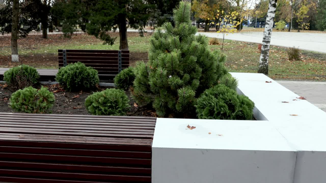 秋天在城市。公园里漂亮的空板凳。视频素材