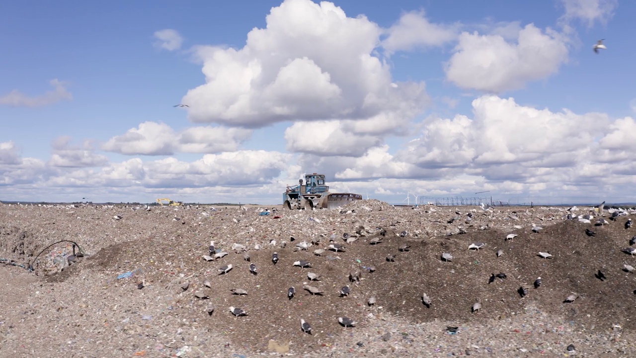 4K航拍的大型家庭垃圾填埋场和食腐鸟视频素材