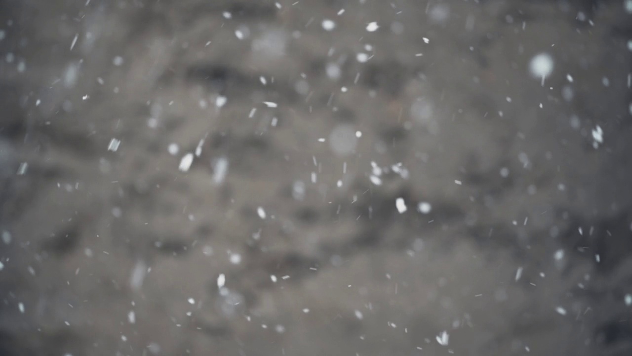 冬日里飘落的雪花视频下载