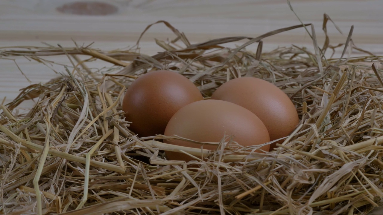 多莉。鸡蛋在木地板上的窝里。视频素材