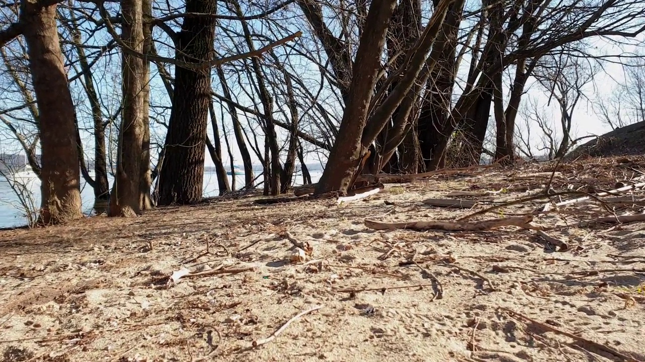 透过树木和树枝，马乔雷湖的地面视图视频素材
