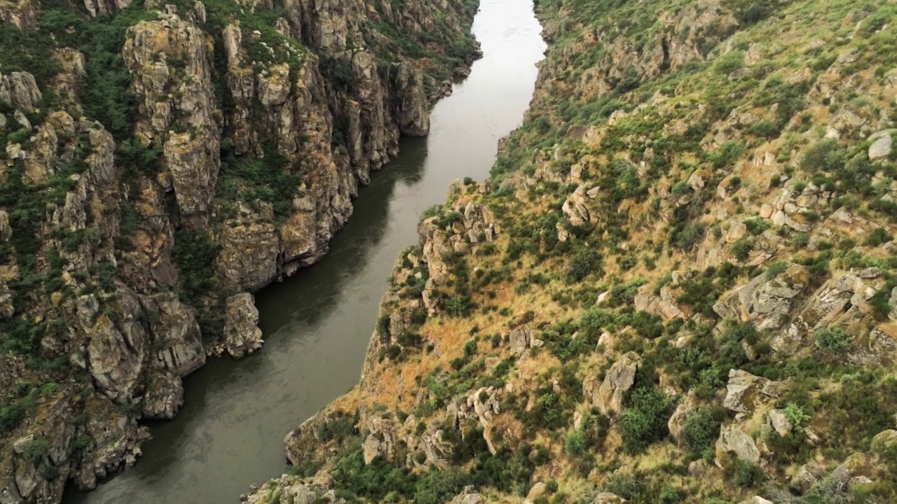 航拍的杜罗河穿过覆盖着绿色植物的岩石山脉视频下载