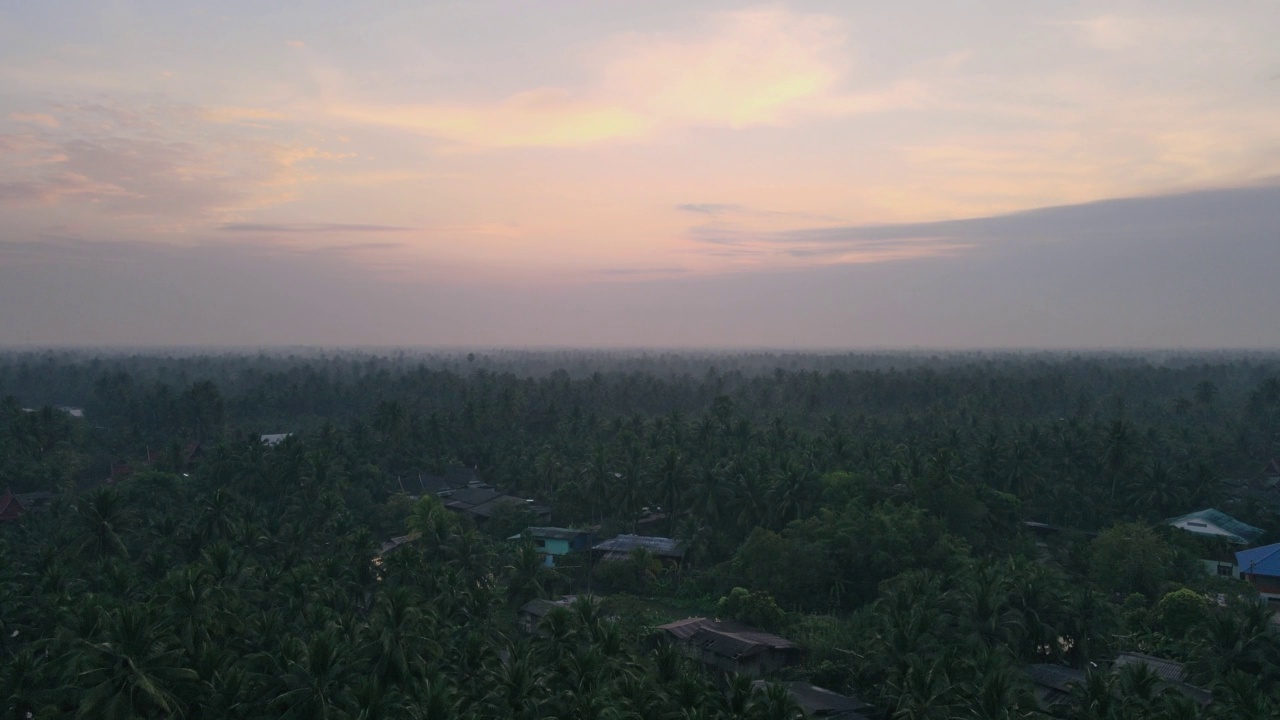 从无人机俯瞰日出时的椰林，在泰国沙武宋卡兰省安帕瓦的海滨社区视频下载