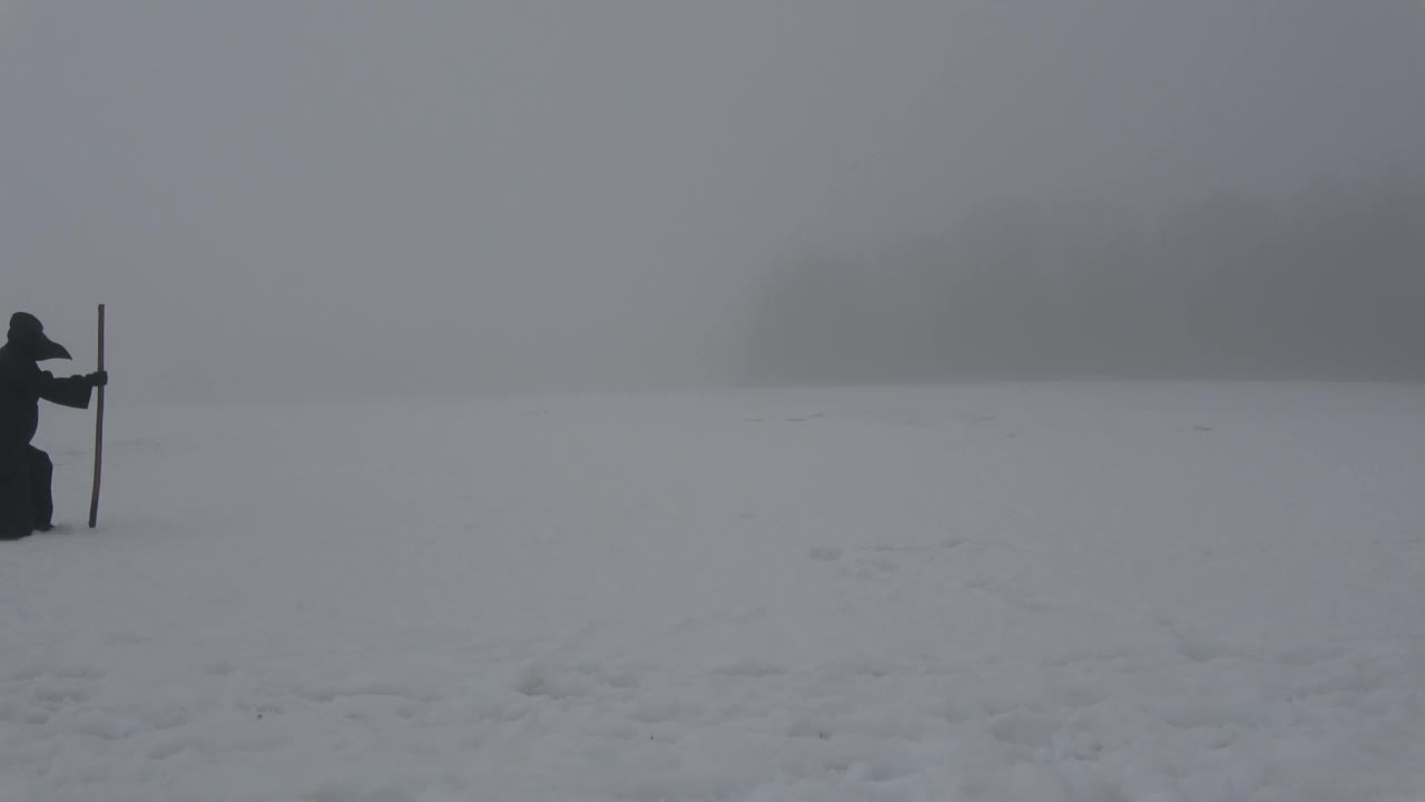 孤独的医生戴着黑鸟嘴面具，拿着拐杖，在薄雾中穿过雪原视频素材