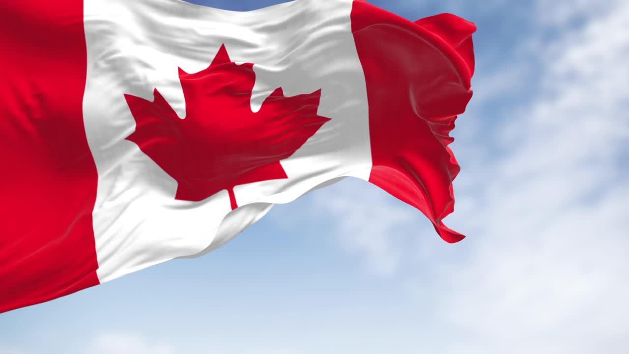 晴朗的日子里，加拿大国旗在风中飘扬。视频素材