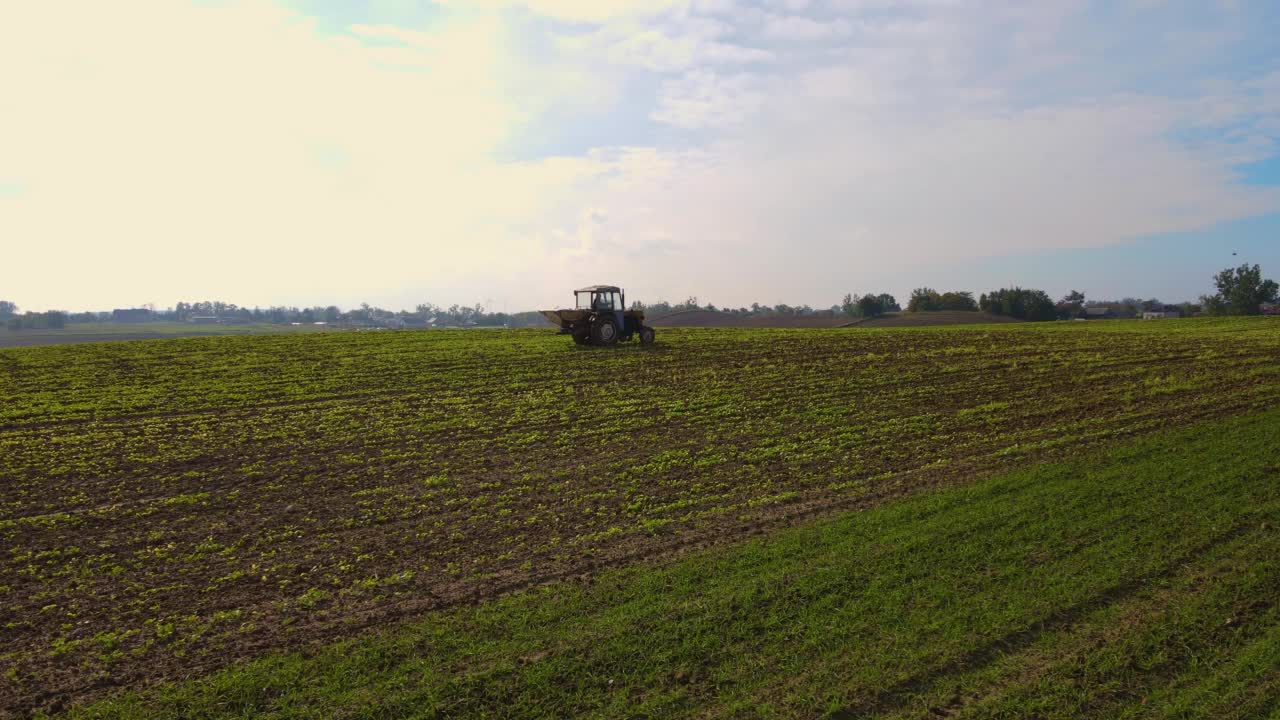 农用田地里，农民坐在老式拖拉机上，把固体肥料撒到正在生长的庄稼里视频下载