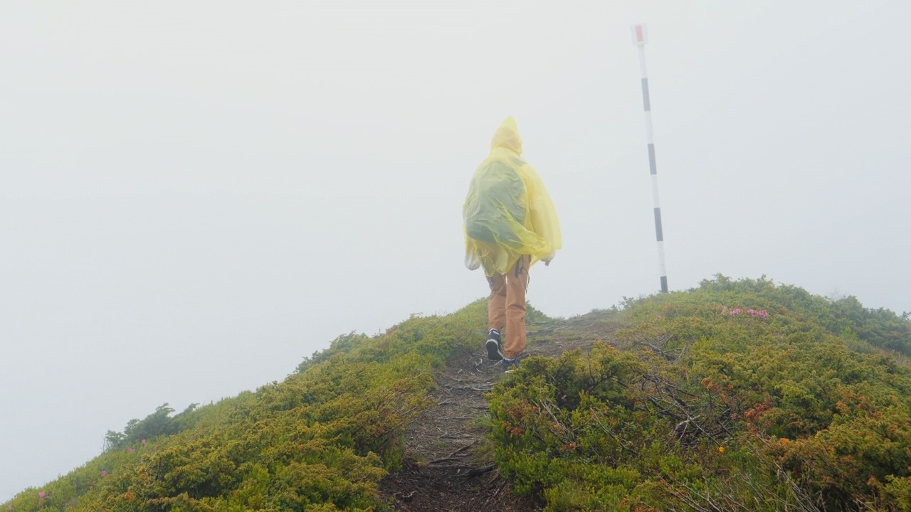 女性徒步旅行者在雾蒙蒙的雨中探索大自然。视频素材