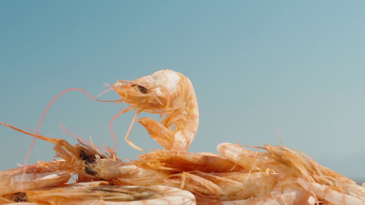 水煮虾在堆积如山的虾上旋转，特写。缩小。视频下载