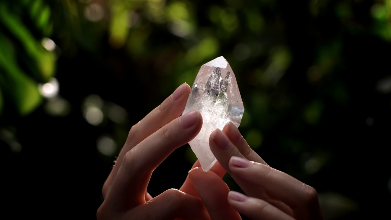 多布一颗未经雕琢的钻石在奇异的丛林中视频下载