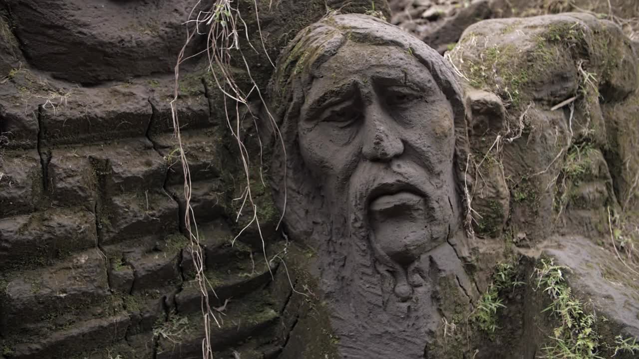 人的脸刻在石头上长满了青苔视频下载