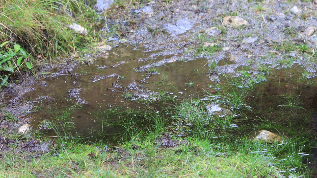 在雨天徒步穿过泥泞的水坑视频下载