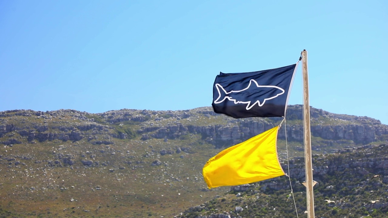 蓝色鲨鱼旗和风中黄色旗帜，表示海洋生物处于中等危险视频下载