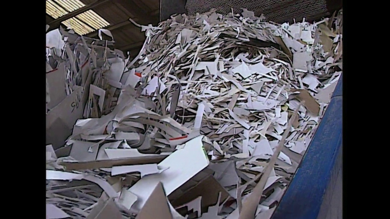 废纸板及废纸运抵回收中心;1991视频下载