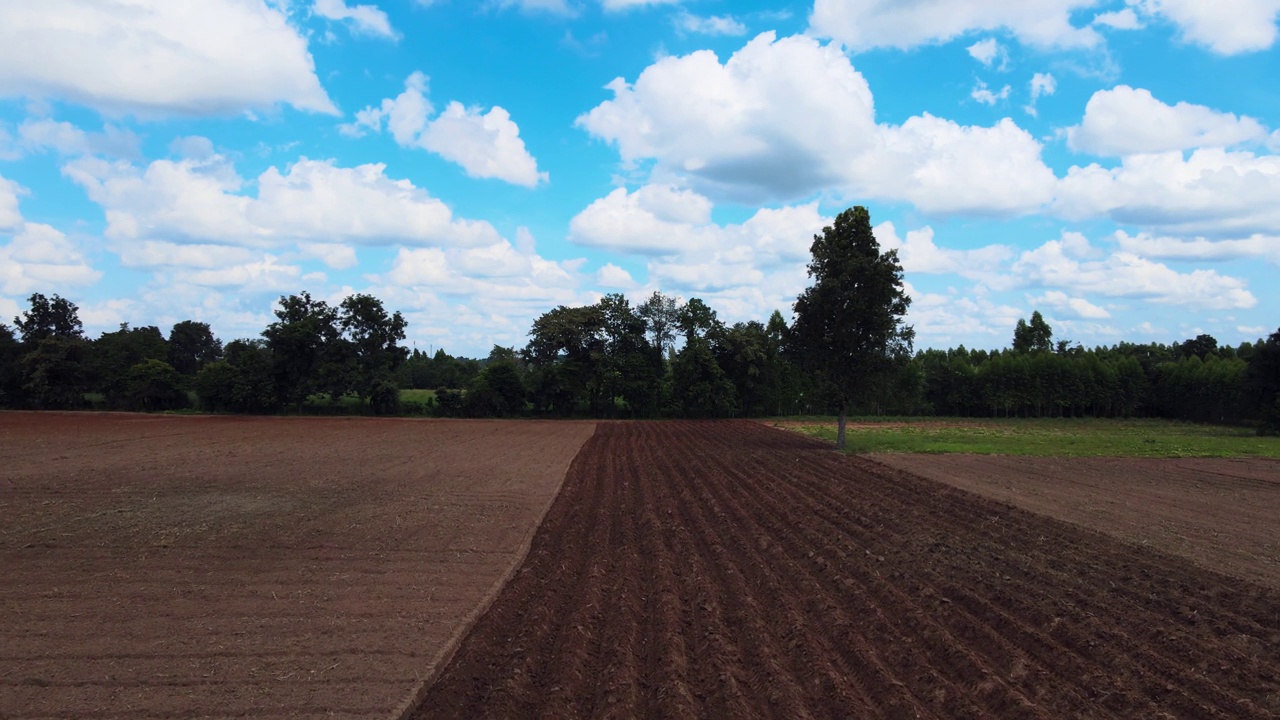 无人机摄影高角度拍摄，在木薯种植园。当时，拖拉机正在泰国一个农村小镇调整土壤，天气晴朗。视频下载