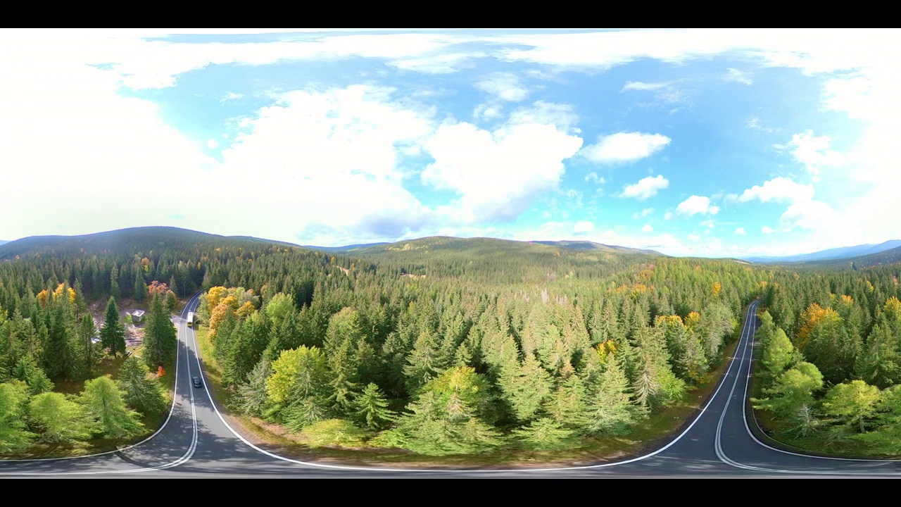 翠绿森林中蜿蜒的山路(空中)视频下载