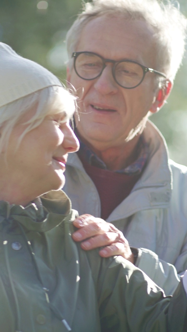 我爱你。在公园的秋千上，老人推着妻子，拥抱着她。垂直视频视频素材