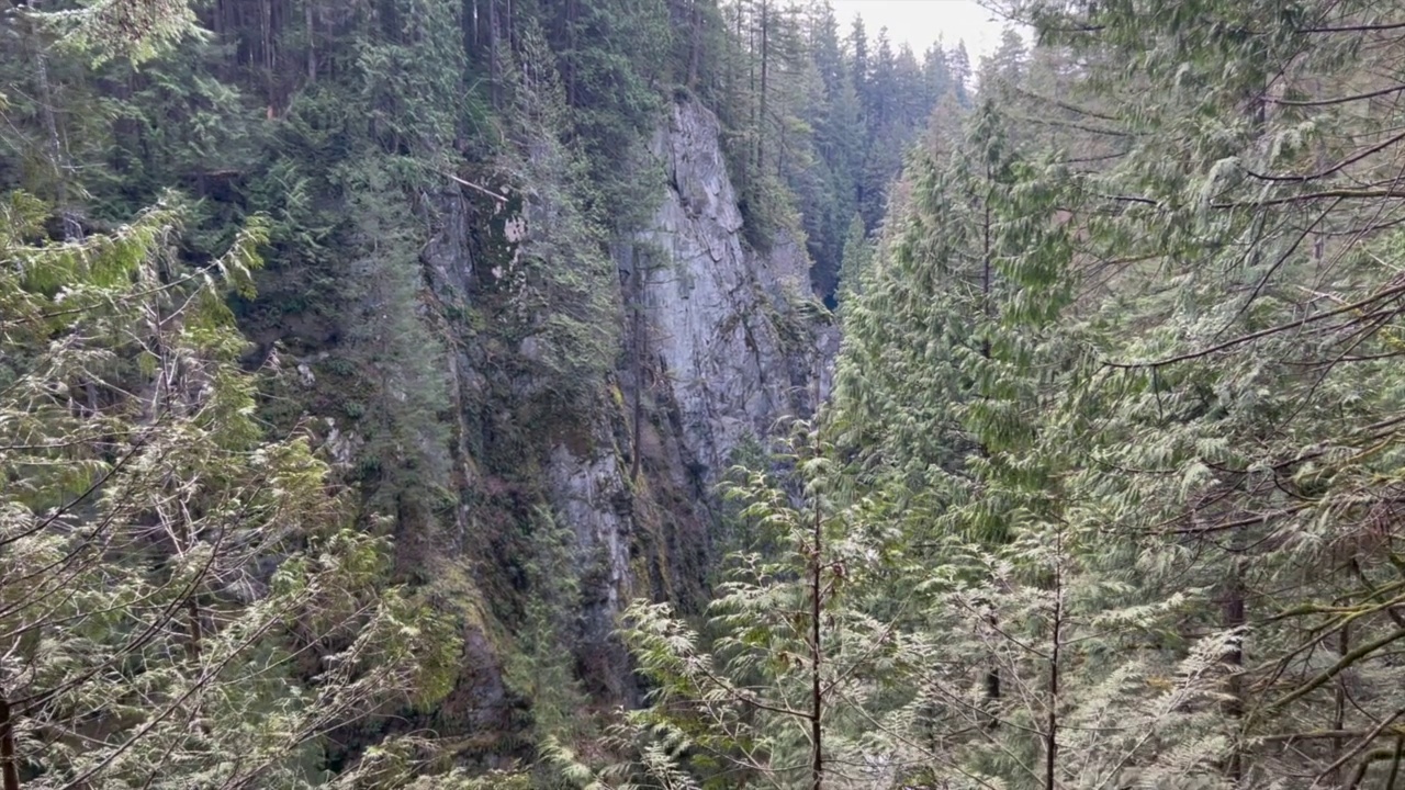 加拿大西温哥华，卡皮拉诺河区域公园的青山绿意盎然视频下载