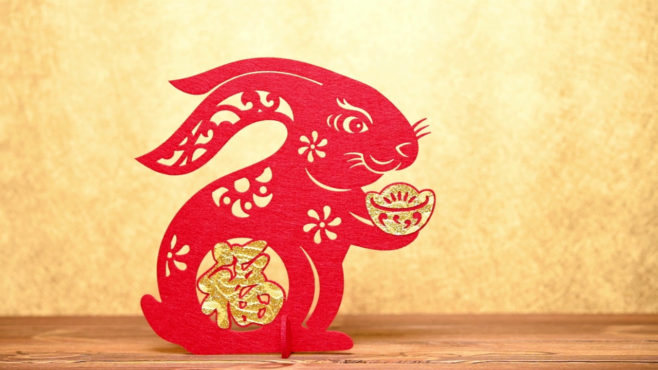 pan view中国新年兔子吉祥物剪纸在黄金背景，中文的意思是财富没有标识没有商标视频素材