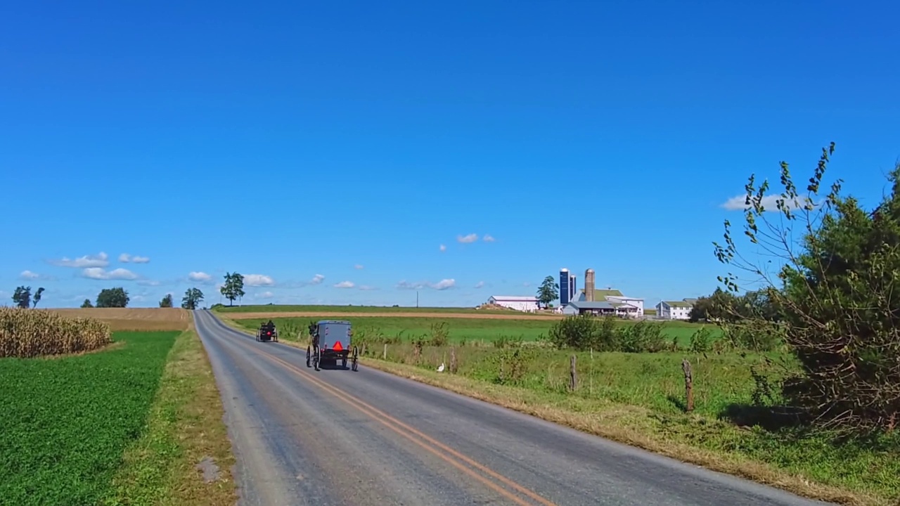 在一个阳光明媚的日子里，两匹阿米什人的马和马车在乡间小路上慢镜头奔跑视频素材