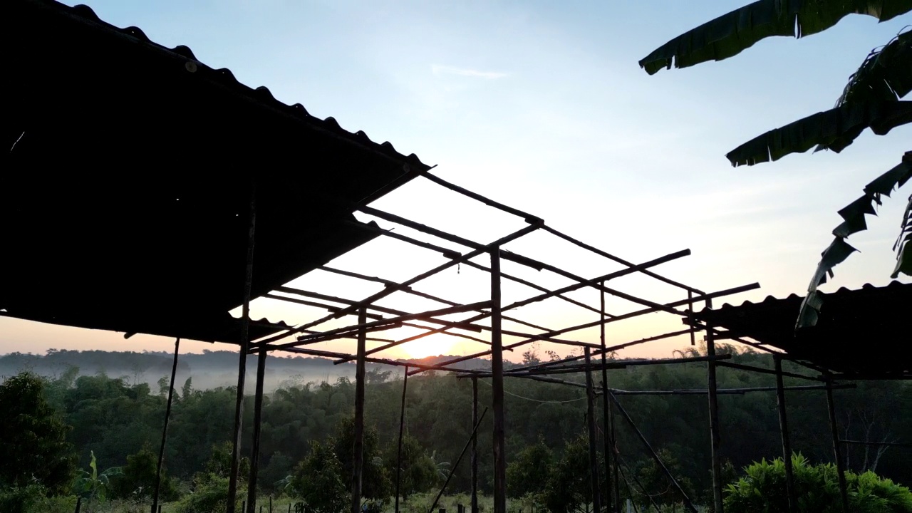 农区从高角度看，绿意盎然，清晨阳光普照视频下载