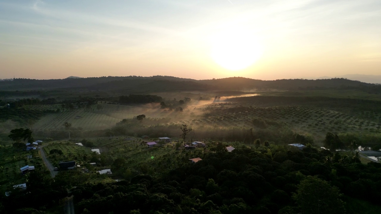 农区从高角度看，绿意盎然，清晨阳光普照视频下载