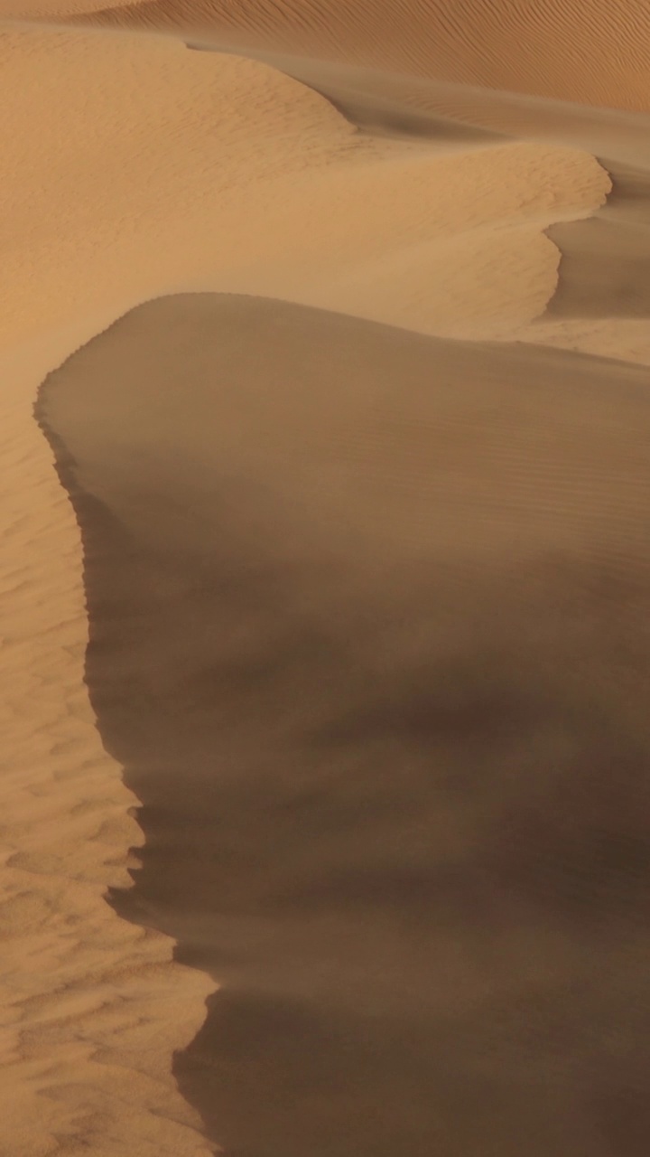 沙漠中吹过沙丘的沙子视频素材