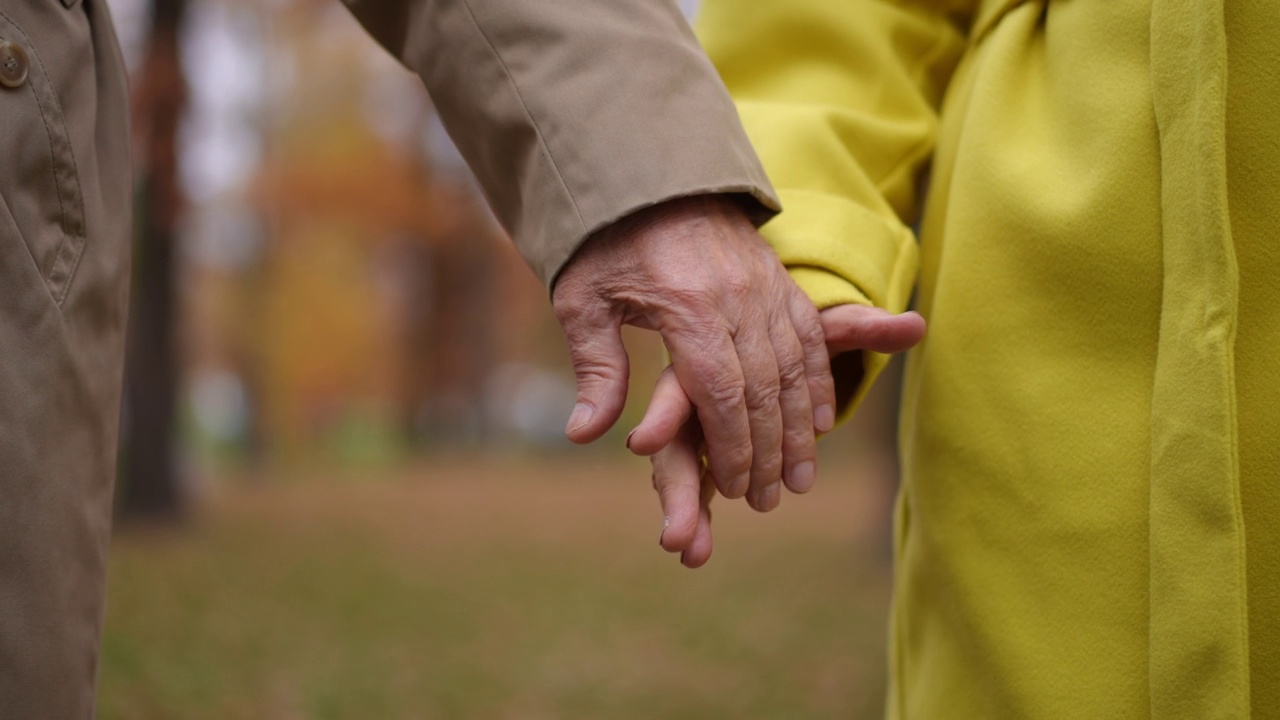 在模糊的秋天公园背景下，难以辨认的一对退休夫妇牵手慢镜头。相爱的白人老人和女人牵着手站在户外。爱与团结的理念。视频下载