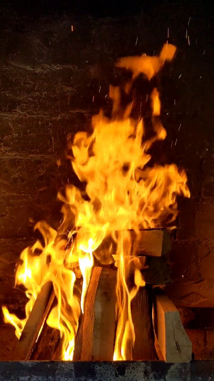 火是在一个夏季砖烤箱烧烤，烧烤和其他户外菜肴视频下载