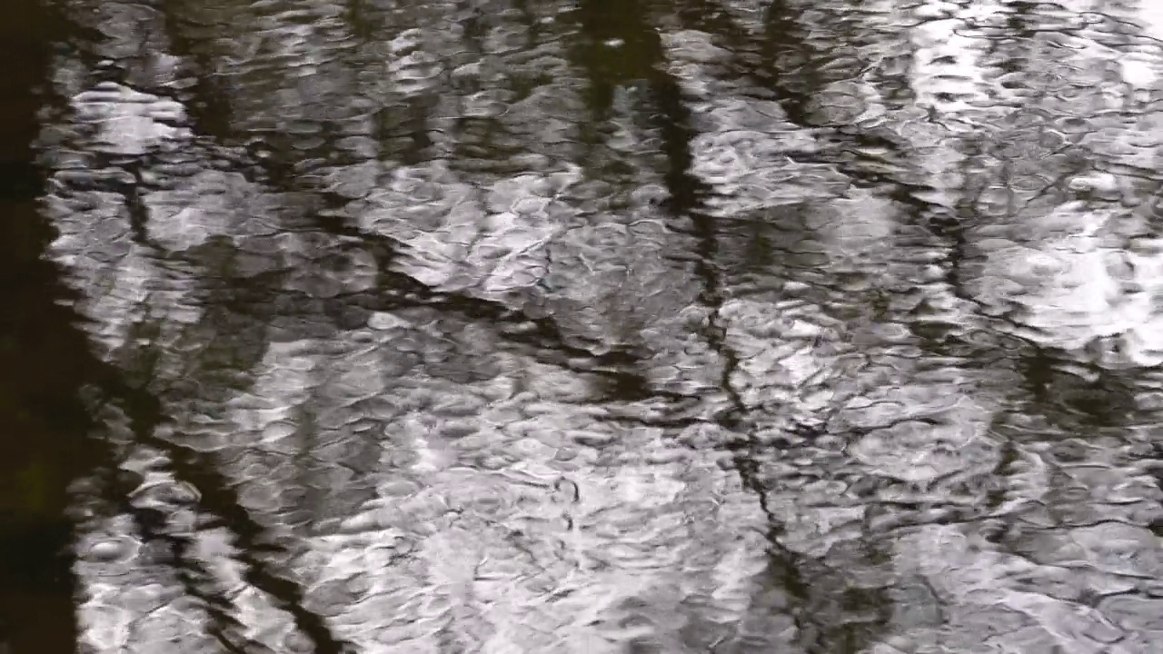 在清澈的溪水中的倒影视频素材