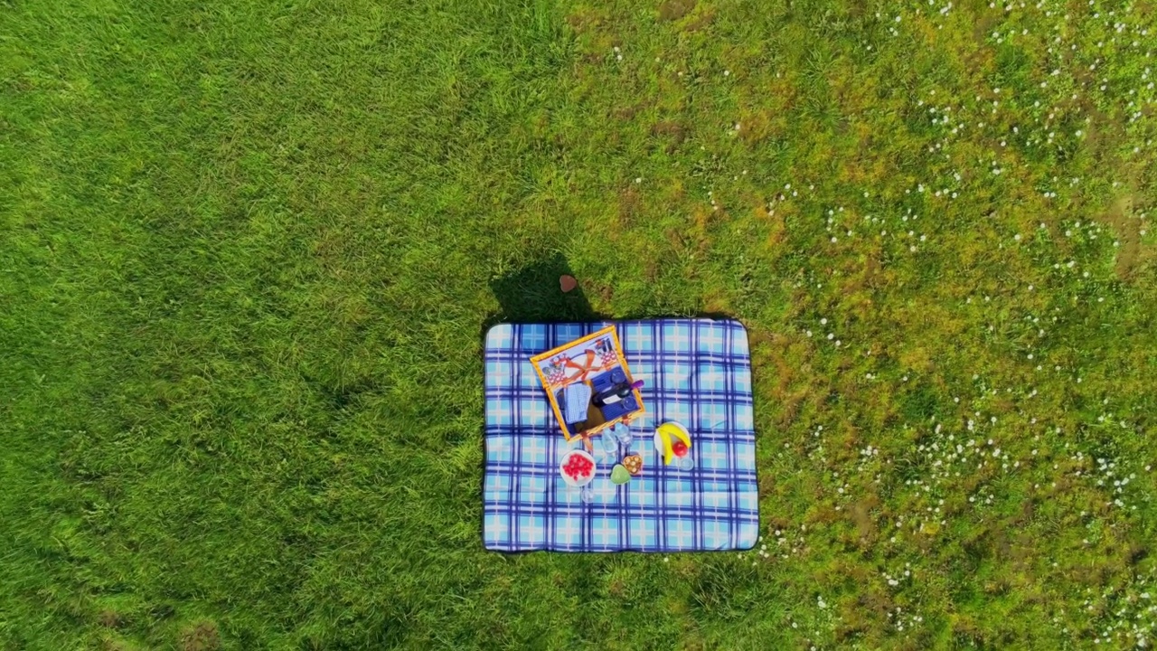 4K草地上的小型野餐鸟瞰图视频下载