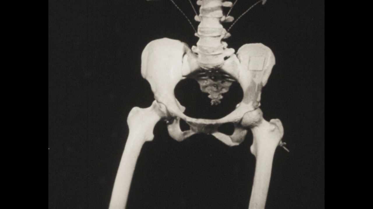 骷髅——21篇中的第8部分。详细描述人体骨骼的形成、生长、发育和功能。显微摄影和动画绘图揭示了骨骼的组成以及它们是如何生长的。戏剧性的电影x射线摄影显示视频下载