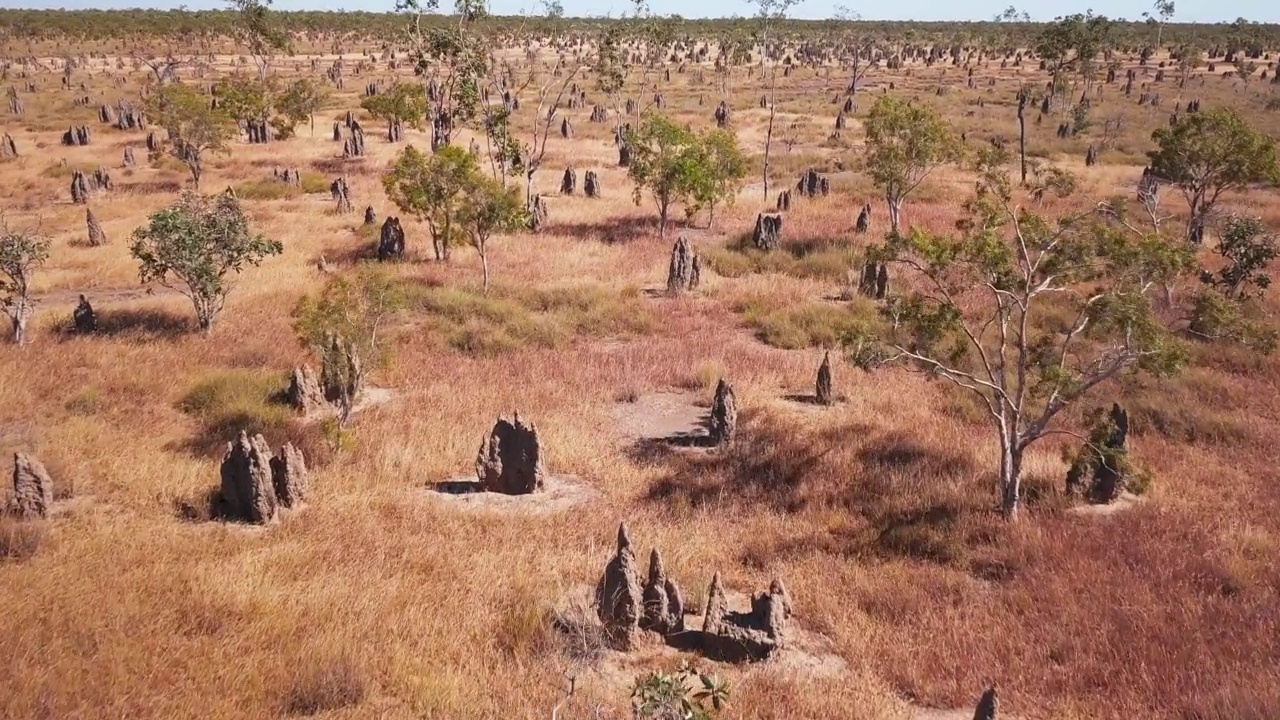 澳大利亚利奇菲尔德国家公园里满是白蚁丘的旱地视频下载