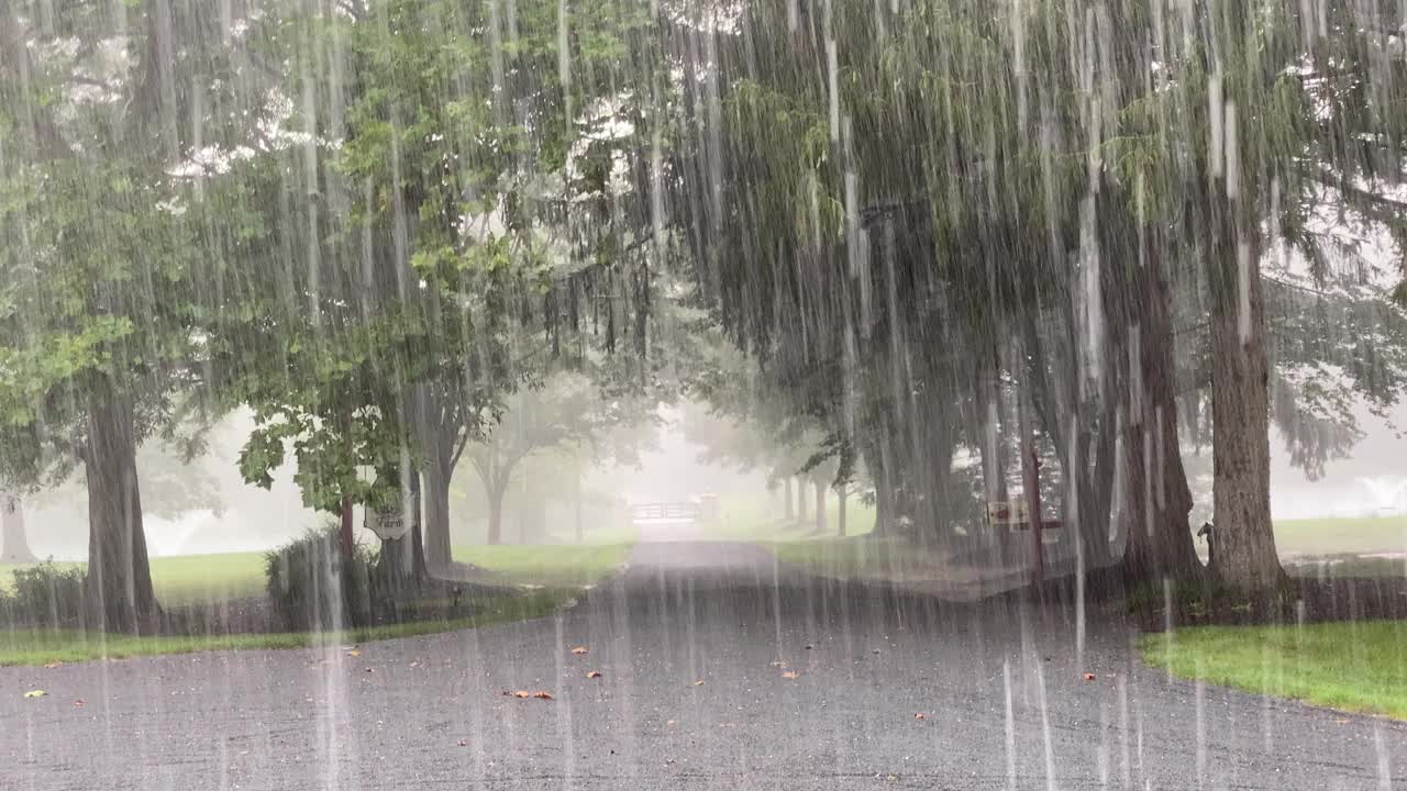穿过雨水充沛的绿色公园的小径视频下载